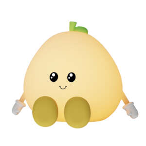 Pomelo lantern (No.2) - touch lamp